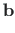 $\displaystyle \mathbf{b}$