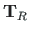 $ \mathbf{T}_{R}$