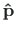 $ \mathbf{\hat{p}}$