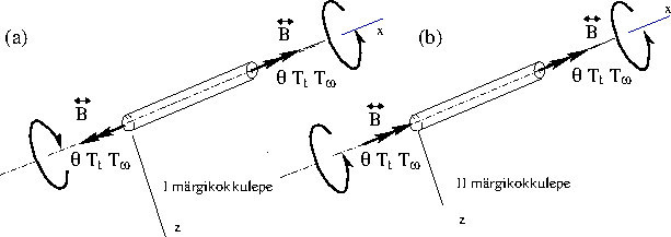 \includegraphics[width=140mm]{joonised/margikokVaane.eps}