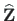$\mathbf{\widehat{Z}}$
