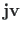 $\mathbf{jv}$
