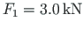 $F_{1} = 3.0{\,}\mathrm{kN}$