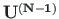 $\mathbf{U^{\left(N-1\right)}}$